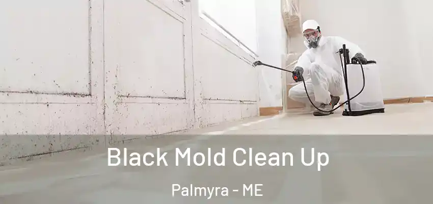 Black Mold Clean Up Palmyra - ME