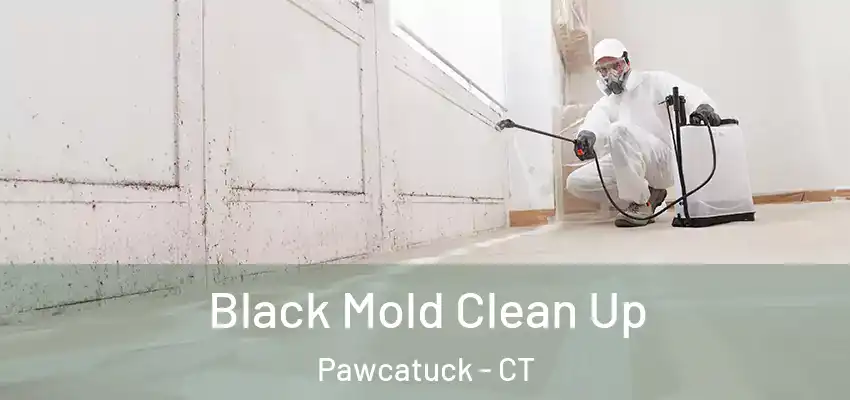  Black Mold Clean Up Pawcatuck - CT