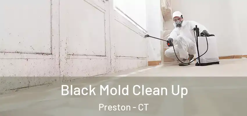 Black Mold Clean Up Preston - CT