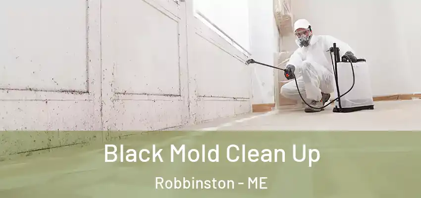 Black Mold Clean Up Robbinston - ME