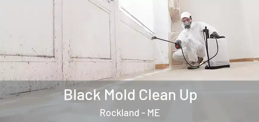 Black Mold Clean Up Rockland - ME