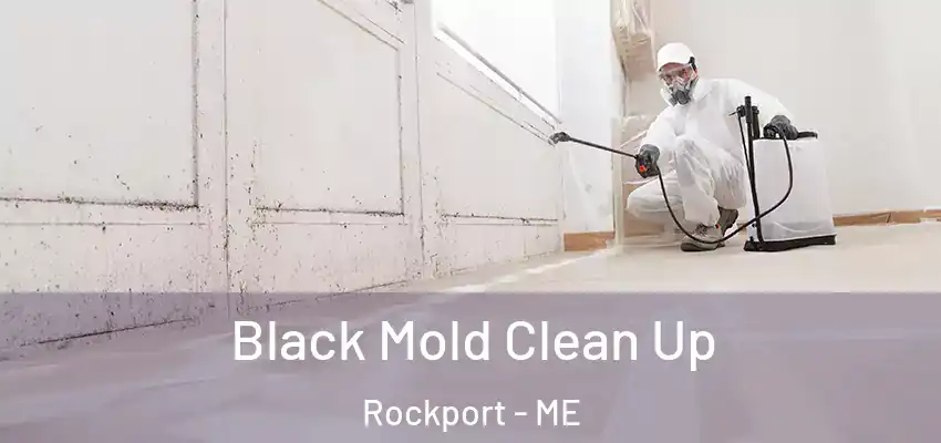 Black Mold Clean Up Rockport - ME