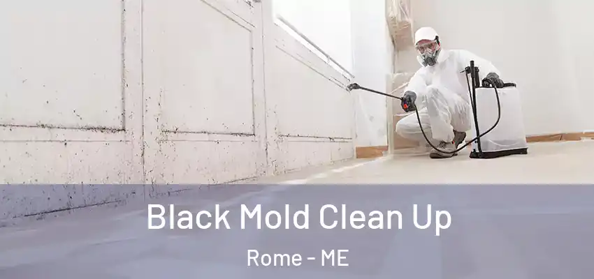  Black Mold Clean Up Rome - ME