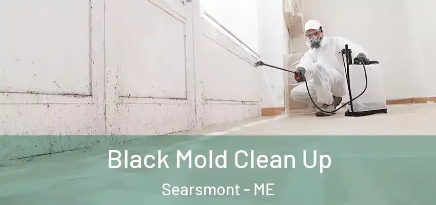 Black Mold Clean Up Searsmont - ME
