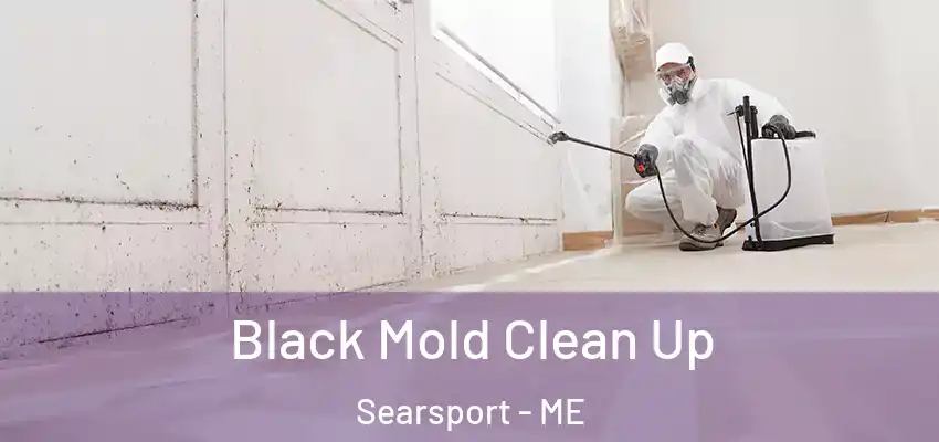 Black Mold Clean Up Searsport - ME