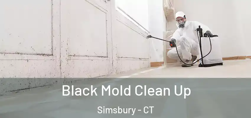  Black Mold Clean Up Simsbury - CT