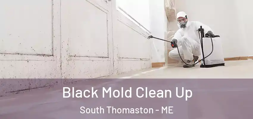 Black Mold Clean Up South Thomaston - ME