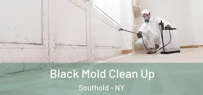  Black Mold Clean Up Southold - NY