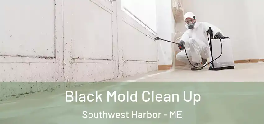 Black Mold Clean Up Southwest Harbor - ME