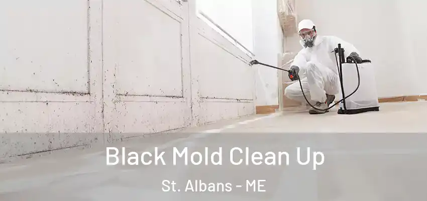  Black Mold Clean Up St. Albans - ME