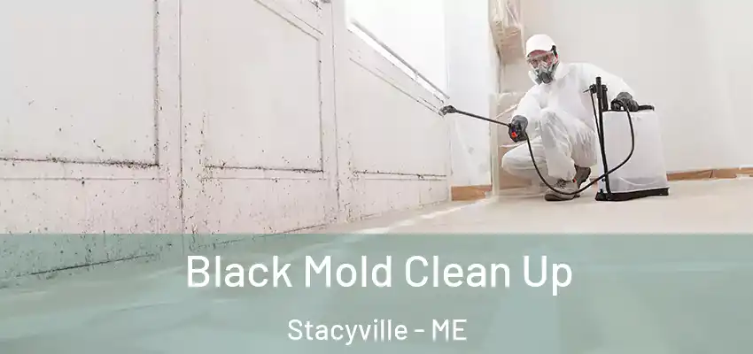 Black Mold Clean Up Stacyville - ME