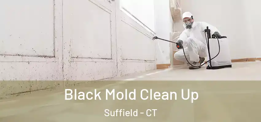 Black Mold Clean Up Suffield - CT