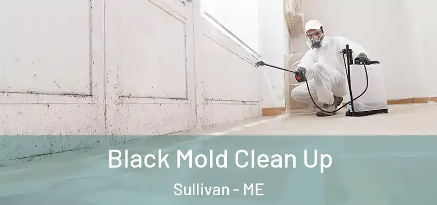 Black Mold Clean Up Sullivan - ME