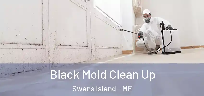  Black Mold Clean Up Swans Island - ME