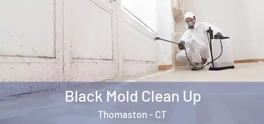  Black Mold Clean Up Thomaston - CT