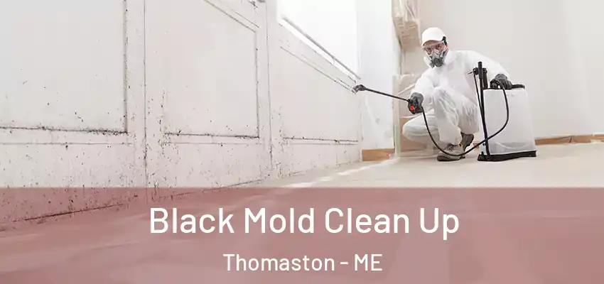 Black Mold Clean Up Thomaston - ME