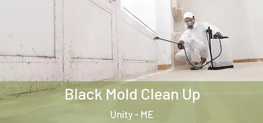 Black Mold Clean Up Unity - ME