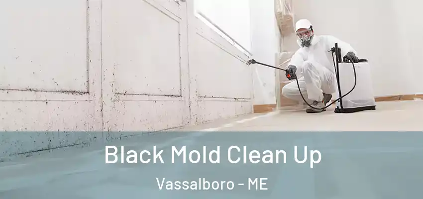  Black Mold Clean Up Vassalboro - ME