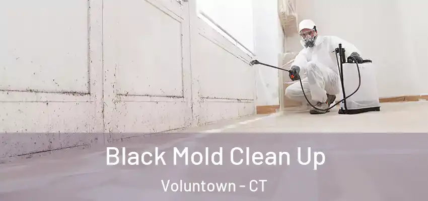  Black Mold Clean Up Voluntown - CT