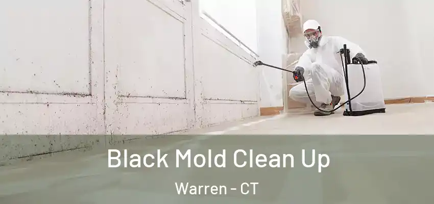  Black Mold Clean Up Warren - CT