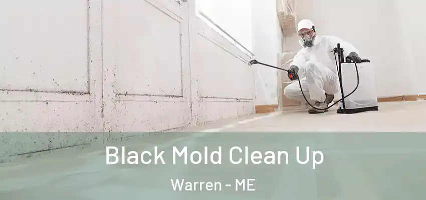 Black Mold Clean Up Warren - ME