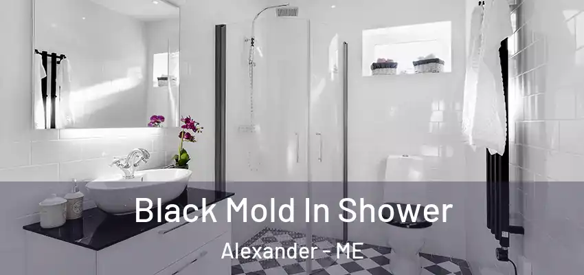  Black Mold In Shower Alexander - ME