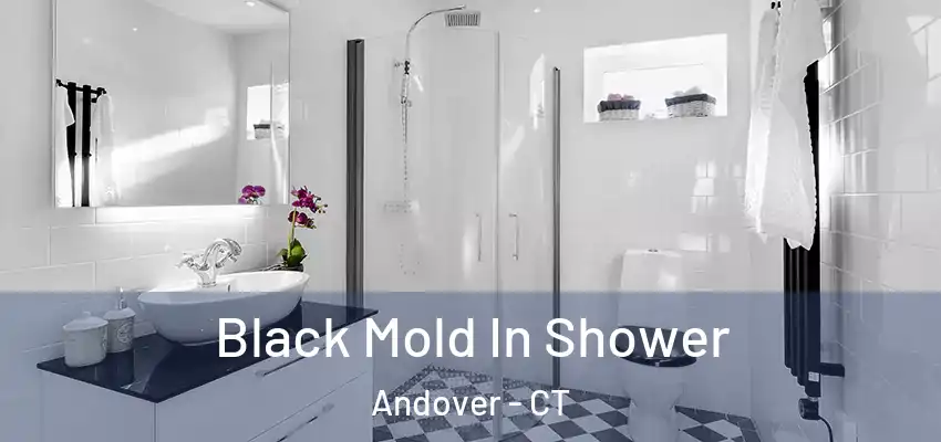 Black Mold In Shower Andover - CT