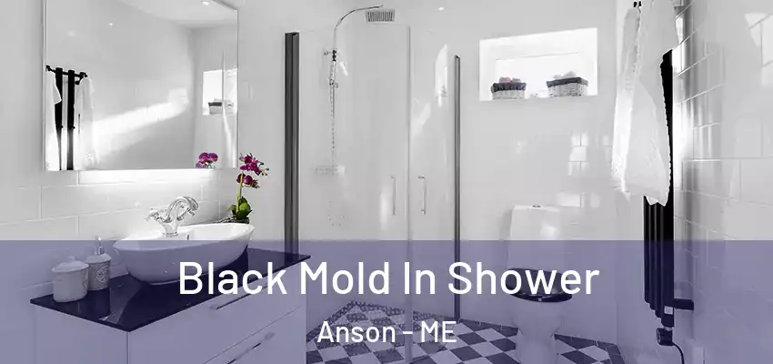 Black Mold In Shower Anson - ME