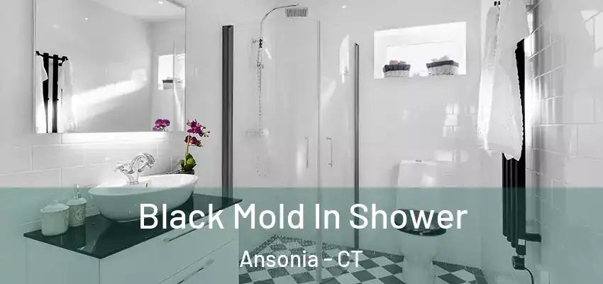  Black Mold In Shower Ansonia - CT