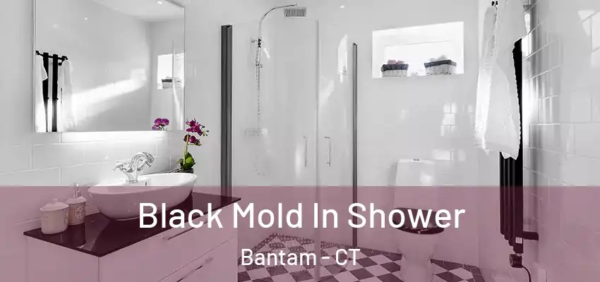 Black Mold In Shower Bantam - CT