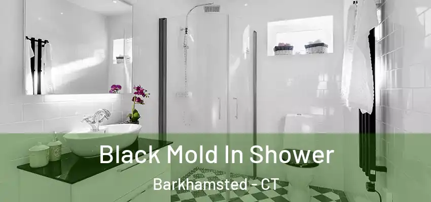  Black Mold In Shower Barkhamsted - CT