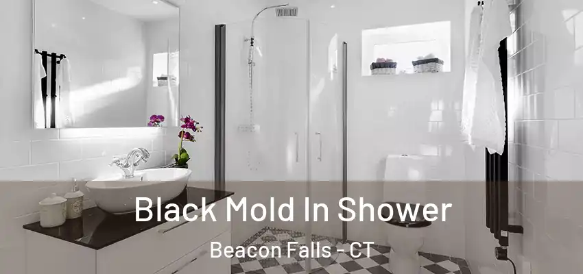  Black Mold In Shower Beacon Falls - CT