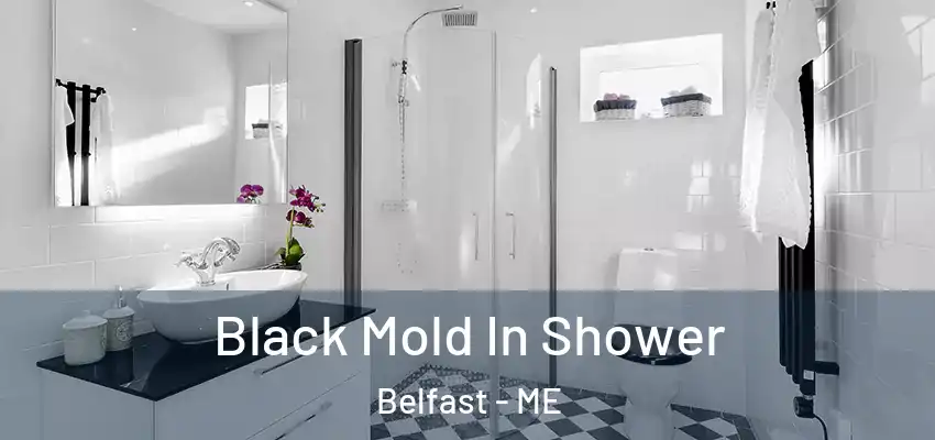 Black Mold In Shower Belfast - ME