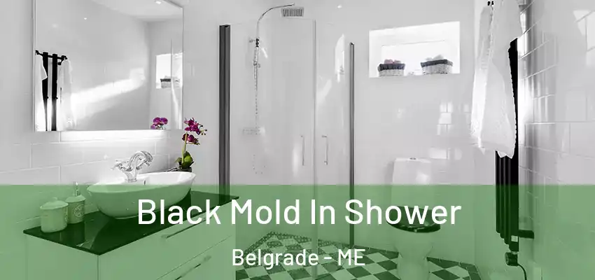  Black Mold In Shower Belgrade - ME
