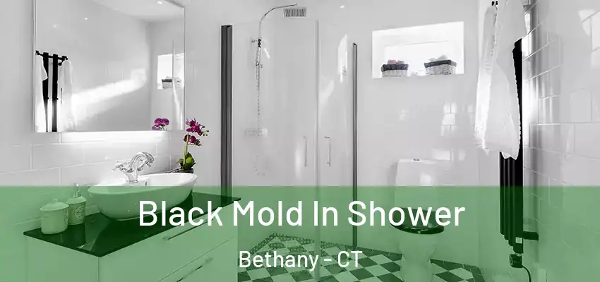Black Mold In Shower Bethany - CT