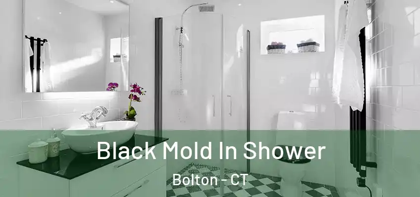  Black Mold In Shower Bolton - CT