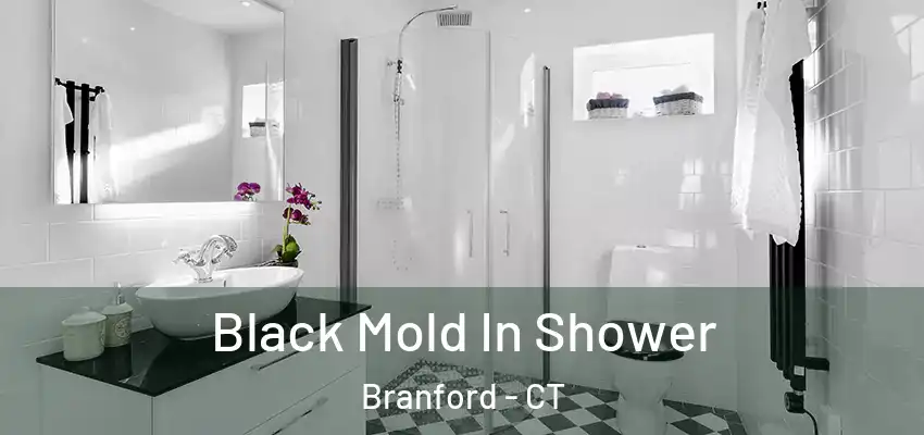  Black Mold In Shower Branford - CT