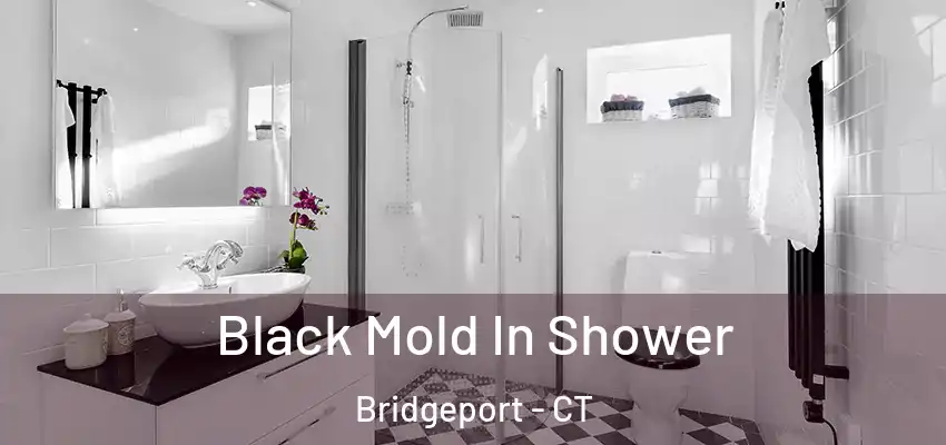  Black Mold In Shower Bridgeport - CT