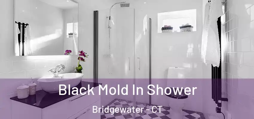  Black Mold In Shower Bridgewater - CT