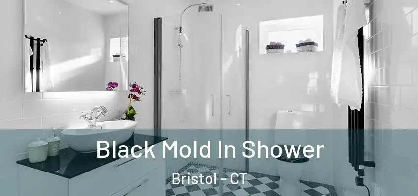  Black Mold In Shower Bristol - CT