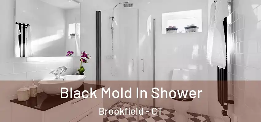Black Mold In Shower Brookfield - CT