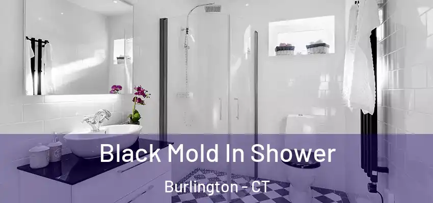  Black Mold In Shower Burlington - CT