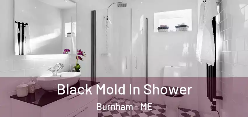  Black Mold In Shower Burnham - ME