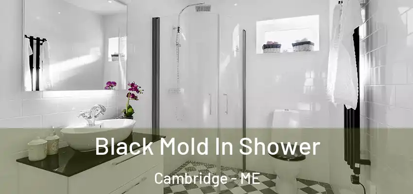  Black Mold In Shower Cambridge - ME
