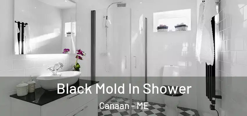  Black Mold In Shower Canaan - ME