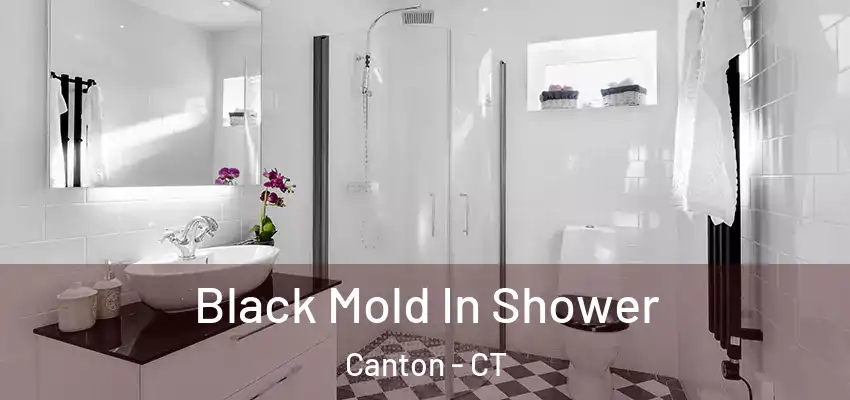  Black Mold In Shower Canton - CT