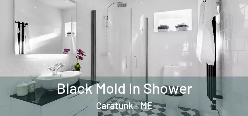  Black Mold In Shower Caratunk - ME