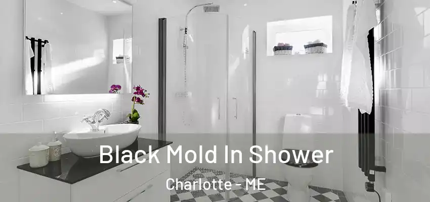  Black Mold In Shower Charlotte - ME