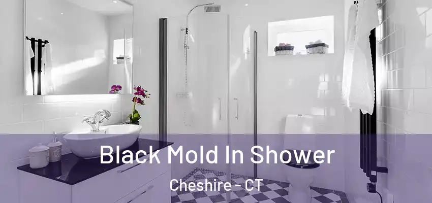  Black Mold In Shower Cheshire - CT