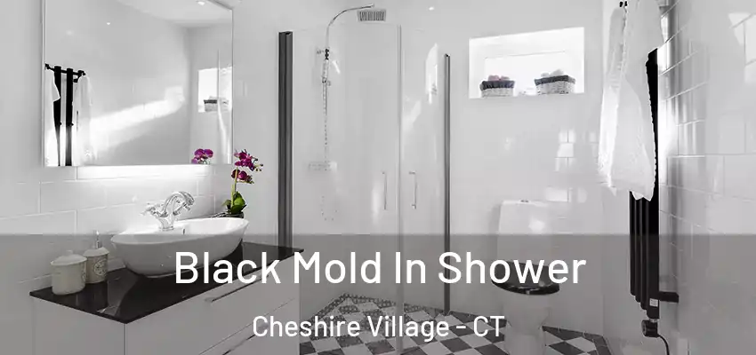 Black Mold In Shower Cheshire Village - CT